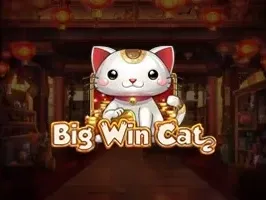 Big Win Cat